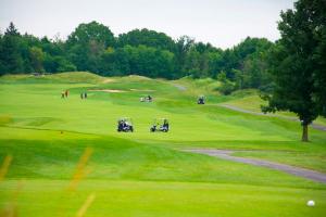 a-view-of-the-tee-of-golfers-in-the-fairway 14650151059 o