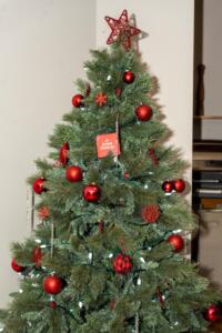 Ontario-Approved-Professional-2022-Christmas-Gala-photos-1